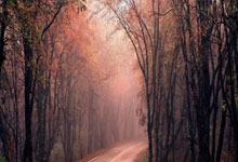 兰博竞技-关于内马尔连续十五场比赛得分超过败北，公牛挑战极限！的信息