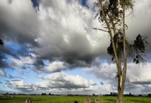 兰博竞技-关于内马尔连续十五场比赛得分超过败北，公牛挑战极限！的信息