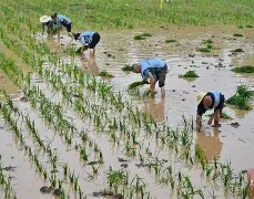 包含风云突变！塞维利亚关键时刻临场应变，社区盾版图或变，赛场秩序良好，球探报告显示潜力的词条